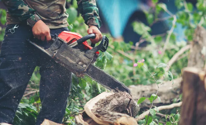 Tronçonneuses thermiques, Annecy, MJG Motoculture
